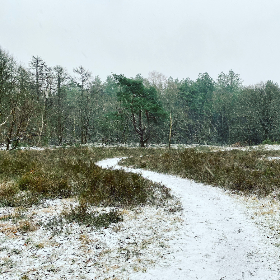 Midwinter ritueel wandeling gooi december 2021