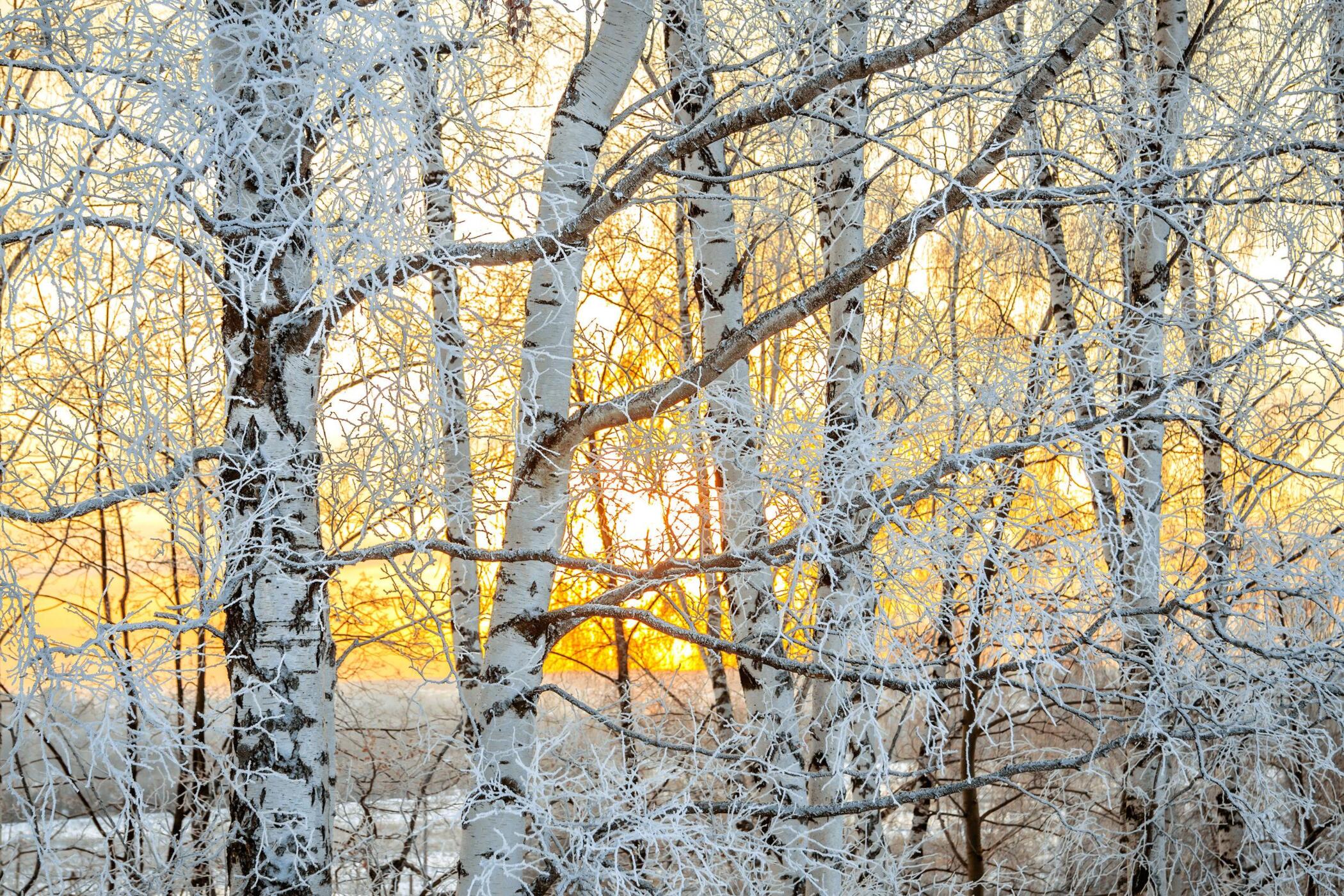 Midwintertocht Bussum Suzanne Jungst Lotte Smidt